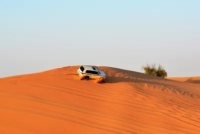 Evening desert safari